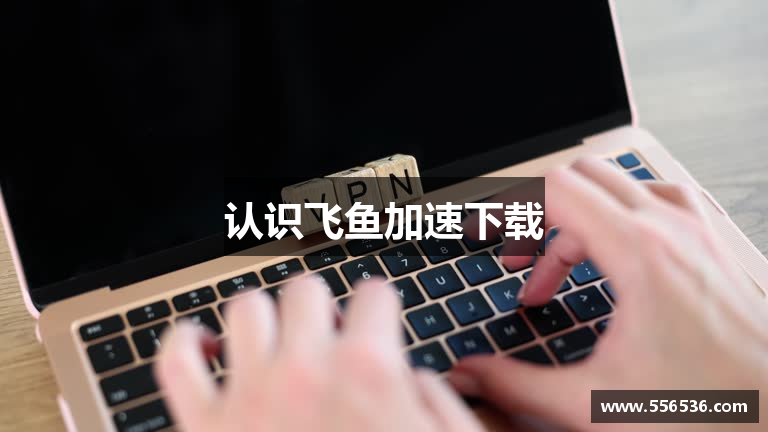 认识飞鱼加速下载